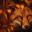 Foxy