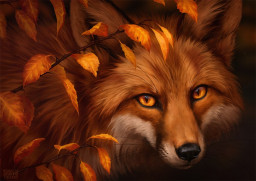 Foxy