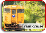 Train Cruise