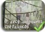 Hotarubi no Mori e