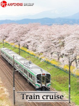 Train Cruise