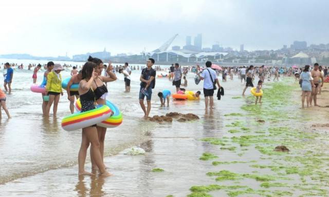 Тонны водорослей не мешают китайцам отдыхать