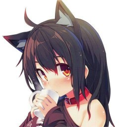 Yuki neko