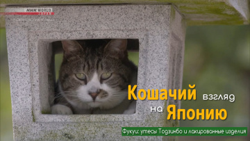 Фукуи: утёсы Тодзинбо и лакированные изделия | Кошачий взгляд на Японию / A Cat's-Eye View of Japan