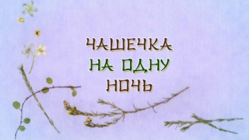 12. Чашечка на одну ночь | Natsume Yuujinchou Go [AG]