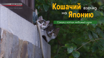 Сануки: котин любимый удон - Кошачий взгляд на Японию / Sanuki: A Kitty's Favorite Udon - A Cat s-Eye View of Japan