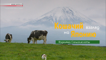 Фудзияма: Сельские коты - Кошачий взгляд на Японию / Mt. Fuji: Countryside Cats - A Cats-Eye View of Japan [Anything Group]