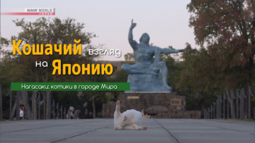 Нагасаки: котики в городе мира - Кошачий взгляд на Японию / A Cat's-Eye View of Japan