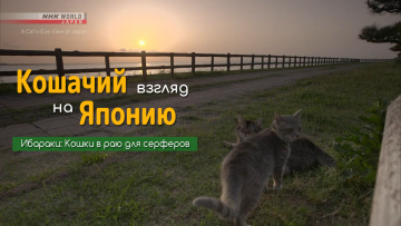 Ибараки: Кошки в раю для серферов | Кошачий взгляд на Японию / A Cat's-Eye View of Japan