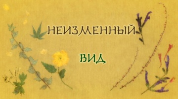 Тетрадь Дружбы Нацуме 5 | Natsume Yuujinchou Go - 01