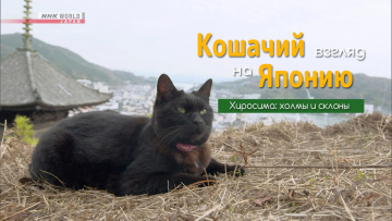 Хиросима: холмы и склоны | Кошачий взгляд на Японию / A Cat's-Eye View of Japan