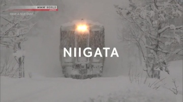 02. Мацунояма, Ниигата | Matsunoyama, Niigata - Have A Nice Stay (RU) [Anything Group]