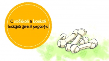 01. Собака и кошка / Inu to Neko Docchi mo Katteru to Mainichi Tanoshii