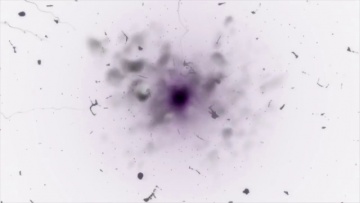 ReZero 02 - 09. Люблюлюблюлюблюлюблюлюблюлюблютебя… [Anything Group]