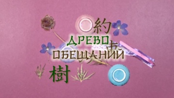 05. Древо обещаний | Zoku Natsume Yuujinchou [Anything Group]