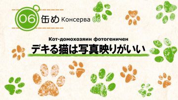 Кот Домохозяин сегодня снова грустит - 06 [Anything Group]