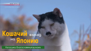 Кагосима: благословения вулкана - Кошачий взгляд на Японию / A Cat's-Eye View of Japan