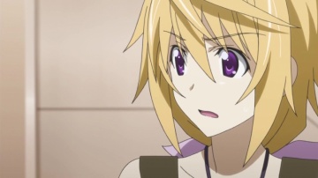 IS - Infinite Stratos 2 - 10 (rus, Sad_Kit) [Anything Group]