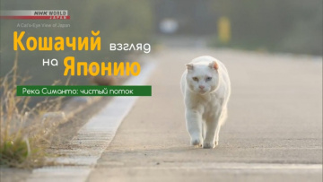 Река Симанто: чистый поток - Кошачий взгляд на Японию / Shimanto River: A Clear Stream - A Cat s-Eye View of Japan