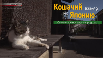 Симане: чистая вода и традиции - Кошачий взгляд на Японию / A Cat's-Eye View of Japan
