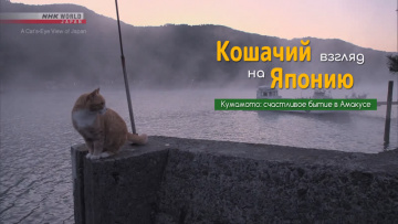 Кумамото: счастливое бытие в Амакусе - Кошачий взгляд на Японию / A Cat's-Eye View of Japan