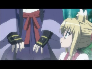 Dog Days \ Собачья жизнь - 1 сезон 12 серия [Anything-group]
