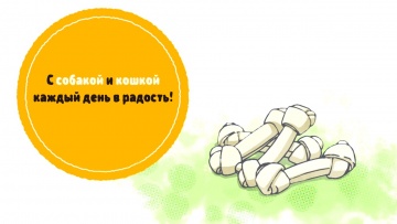 07. Собака и кошка / Inu to Neko Docchi mo Katteru to Mainichi Tanoshii