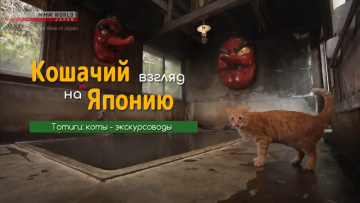 Тотиги: коты-экскурсоводы - Кошачий взгляд на Японию / A Cat's-Eye View of Japan