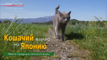 Иватэ: традиции сельской жизни - Кошачий взгляд на Японию / A Cat's-Eye View..