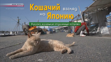 Фукуока: маленькие отдаленные острова - Кошачий взгляд на Японию / A Cat's-Eye View of Japan