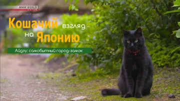 Айдзу: самобытный город-замок - Кошачий взгляд на Японию / A Cat's-Eye View of Japan