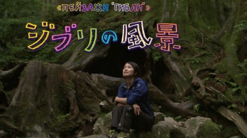 The Scenery of Ghibli: Japan in Miyazaki's Work [Anything Group]