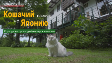 Каруидзава: прохладный ветерок на плато - Кошачий взгляд на Японию / A Cat's-Eye View of Japan