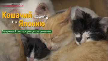 Внутреннее Японское море и два острова кошек - Кошачий взгляд на Японию / A Cat's-Eye View of Japan