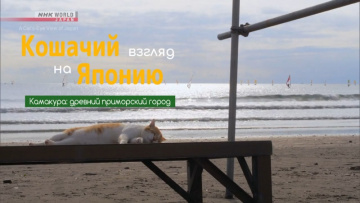 Камакура: древний приморский город - Кошачий взгляд на Японию / Kamakura: An Ancient Seaside City - A Cat s-Eye View of Japan
