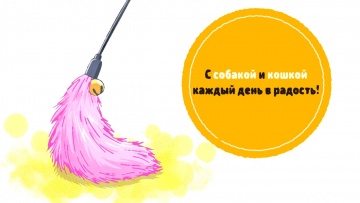05. Собака и кошка / Inu to Neko Docchi mo Katteru to Mainichi Tanoshii
