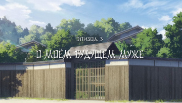 Watashi no Shiawase na Kekkon - 03 [Anything Group]