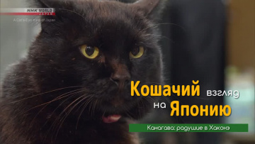 Канагава: радушие в Хаконэ - Кошачий взгляд на Японию / A Cat's-Eye View of Japan