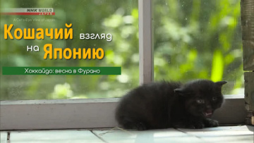 Хоккайдо: весна в Фурано - Кошачий взгляд на Японию / A Cat's-Eye View of Japan