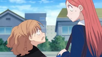 Lovely Complex / Трогательный комплекс. 11. Absolute Death!