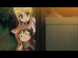 Dog Days \ Собачья жизнь - 1 сезон 11 серия [Anything-group]